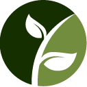Buckthorn Removal Pros