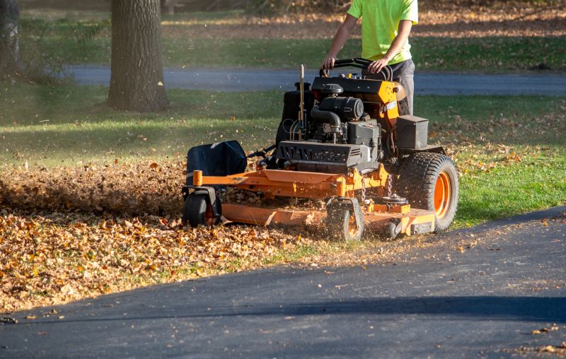Lawn Equipment for Cleanup