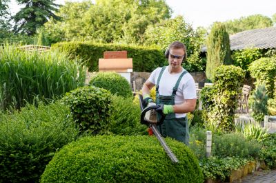 Pruning Bushes for Shape